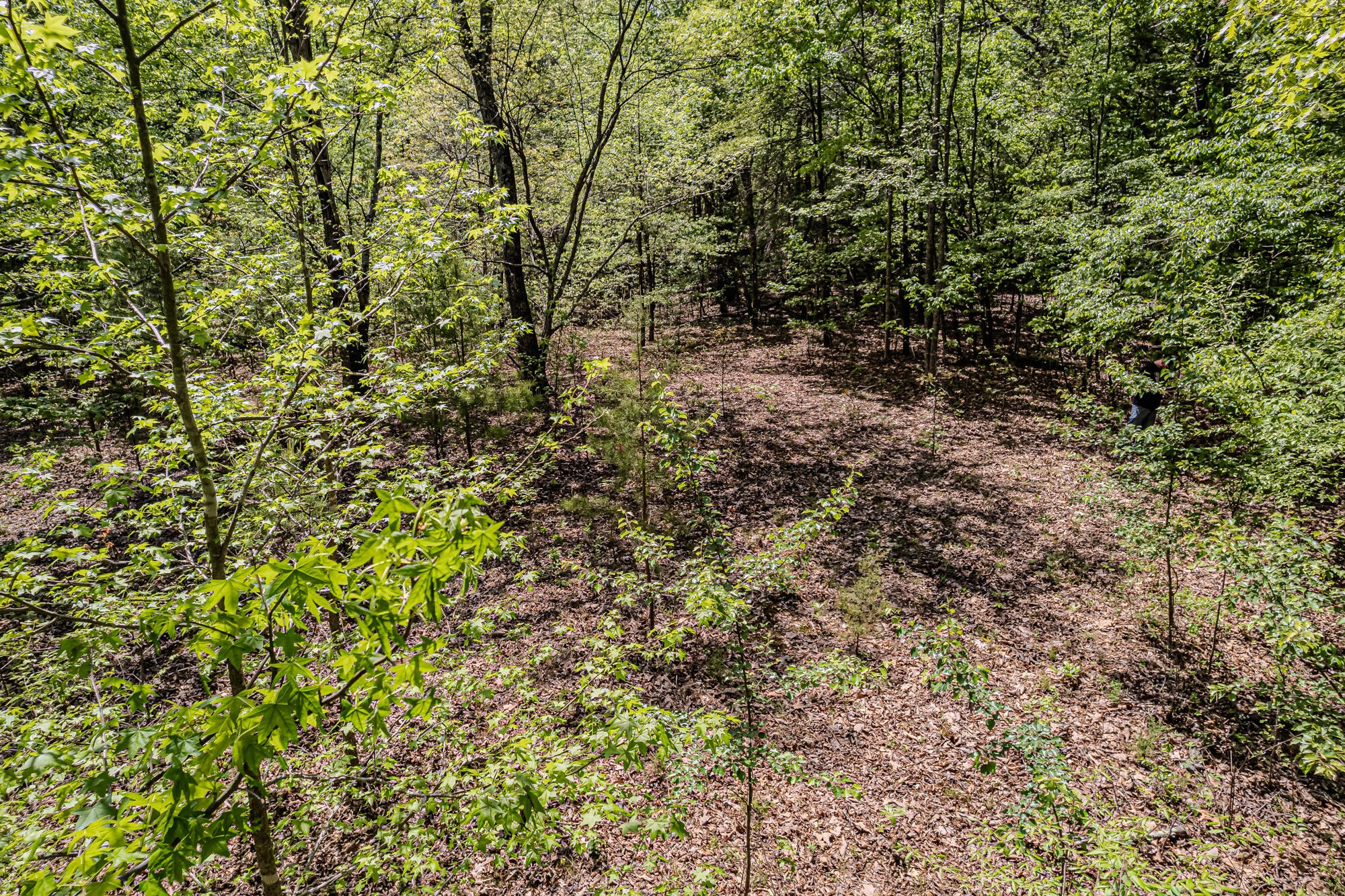 0 Euchee Road Ten Mile, TN 37880 - Photo 24 of 29