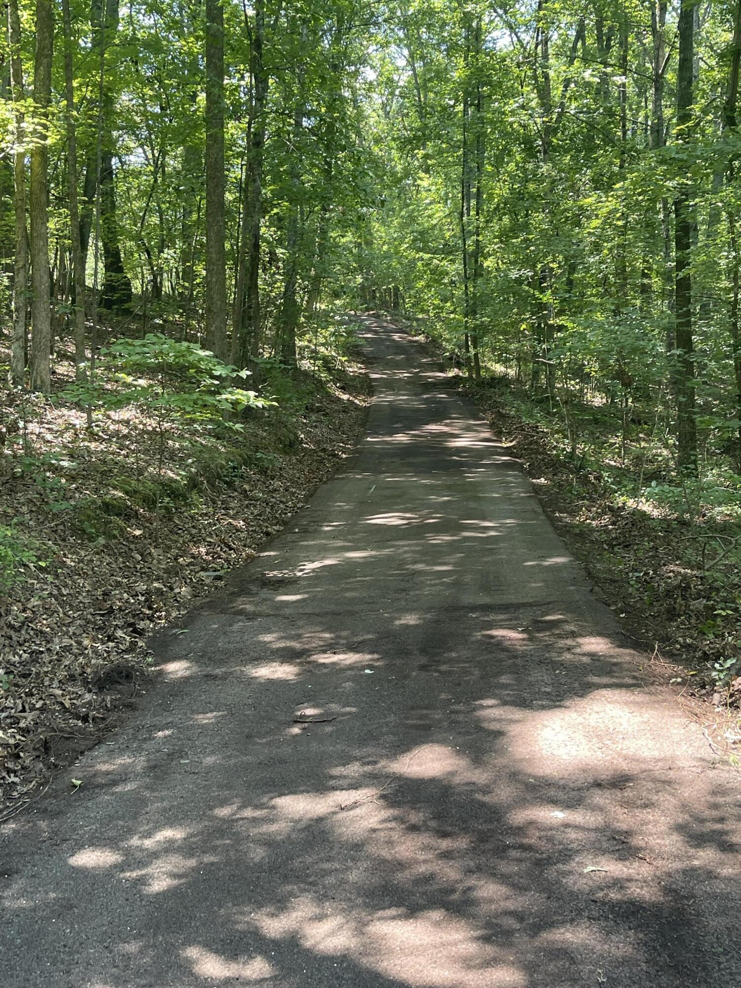 0 Euchee Road Ten Mile, TN 37880 - Photo 3 of 29