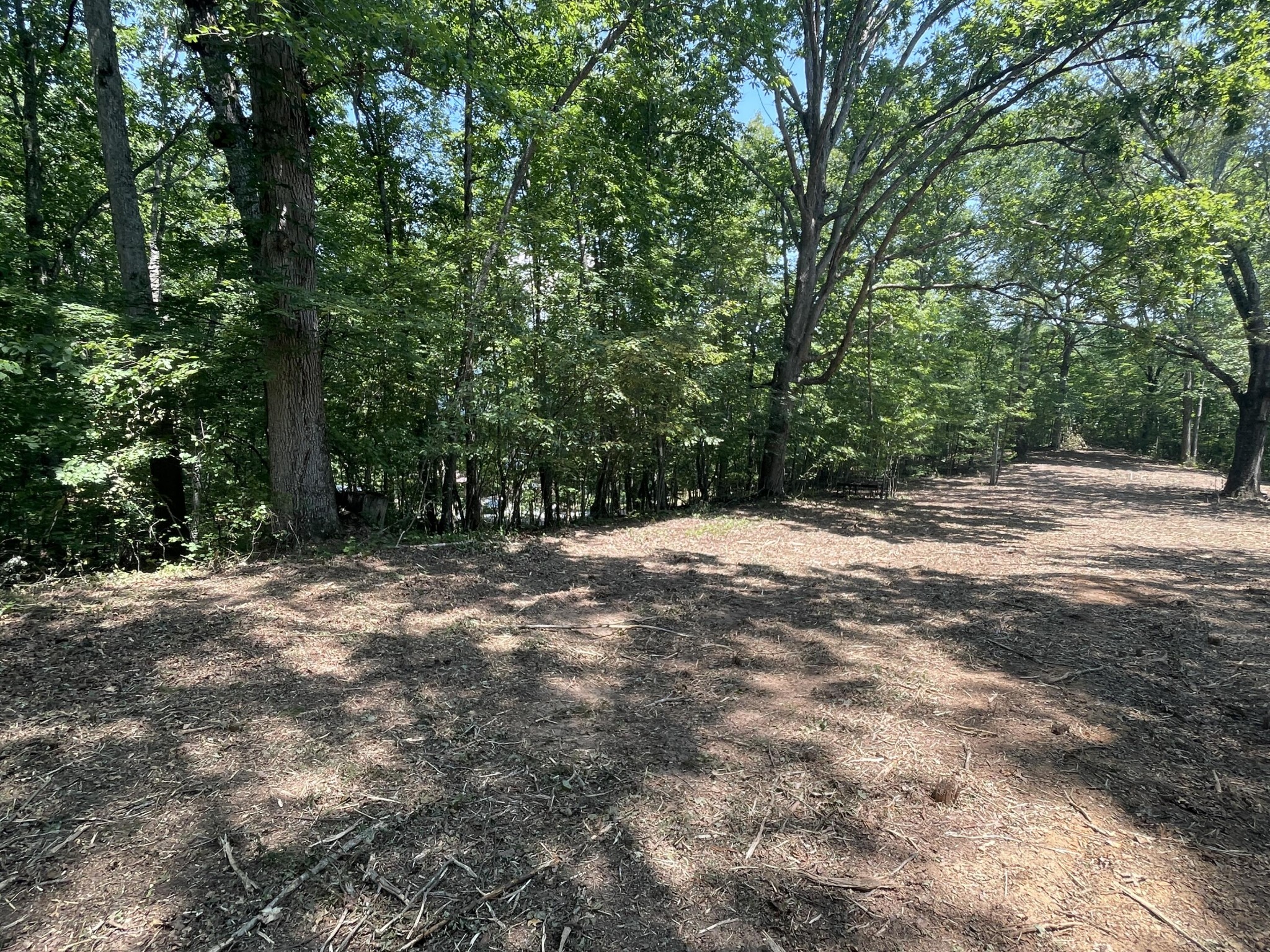 0 Euchee Road Ten Mile, TN 37880 - Photo 4 of 29