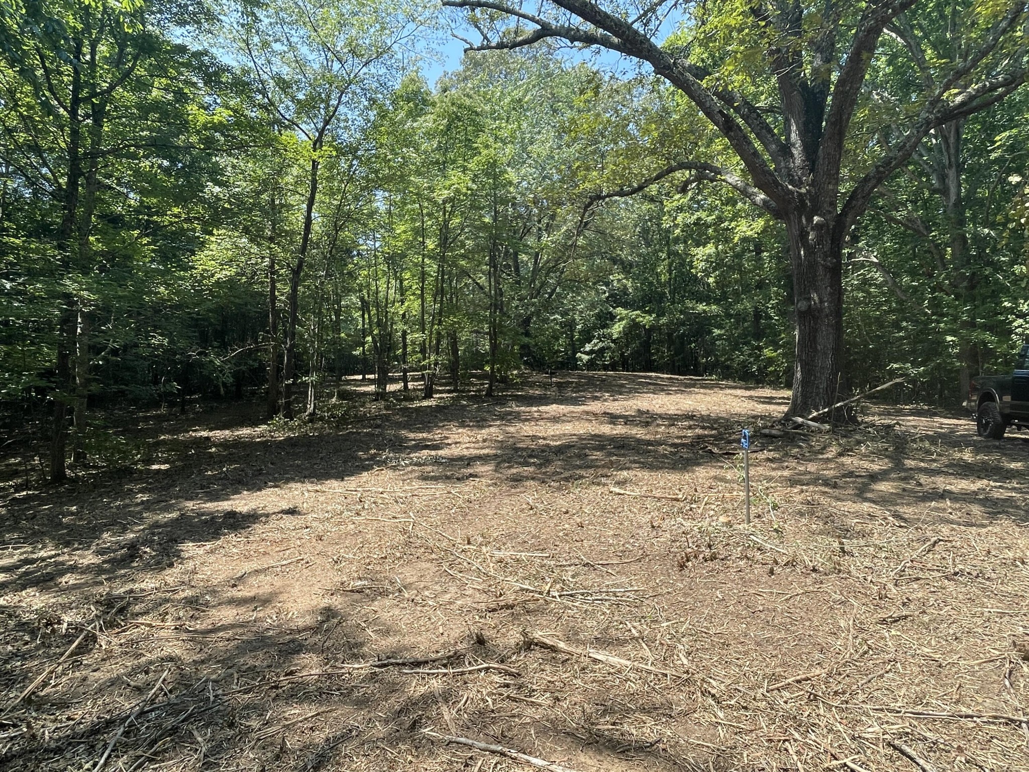 0 Euchee Road Ten Mile, TN 37880 - Photo 10 of 29