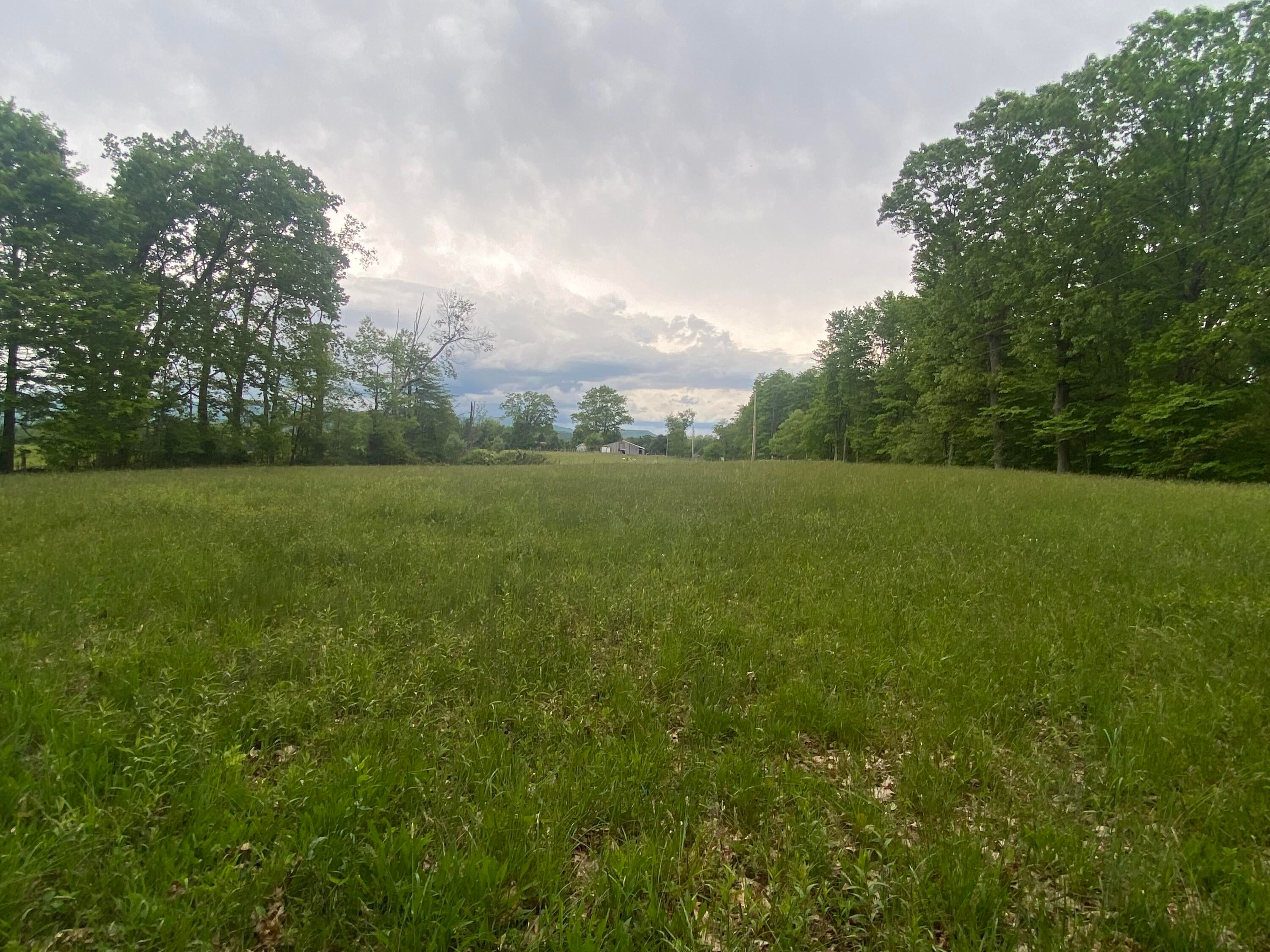 254 Tanyard Road Smoot, WV 24977 - Photo 53 of 84 Gallery Image 53
