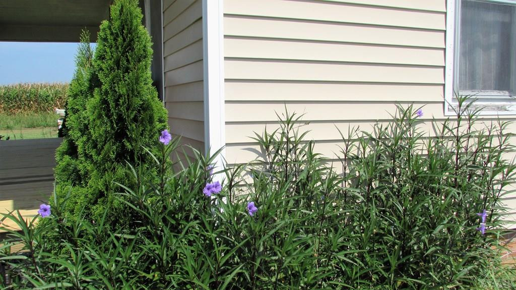 390 Dry Ridge Road Elizabeth City, NC 27909 - Photo 38 of 48 Gallery Image 38