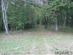 0 Little Beason Road Pennsboro, WV 26415 - Photo 6 of 12