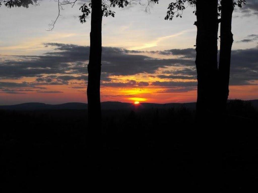 151 Appleton Ridge Road Searsmont, ME 04973 - Photo 10 of 30 Photo