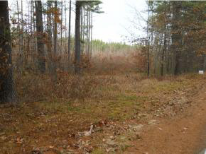 1-6 Sandogardy Pond Road Northfield, NH 03276 - Photo 2 of 6 Gallery Image 2
