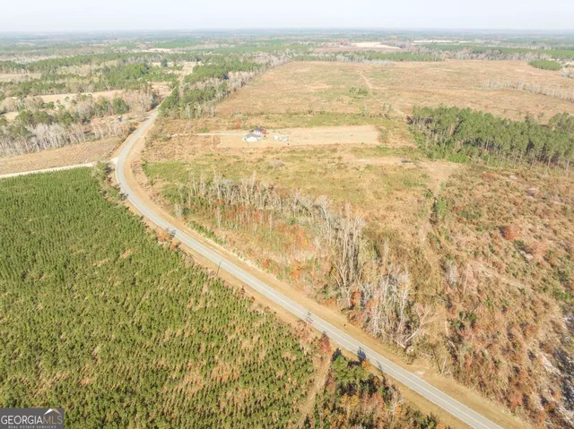 $425,000 | 177 Lovett Scott Road, Adrian, GA 31002