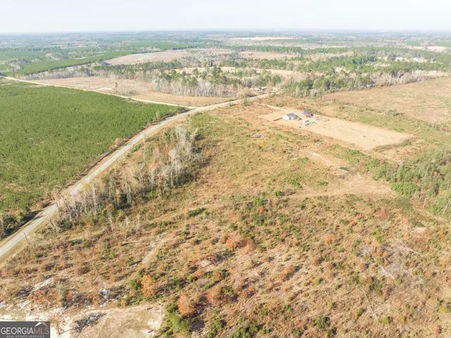 $425,000 | 177 Lovett Scott Road, Adrian, GA 31002