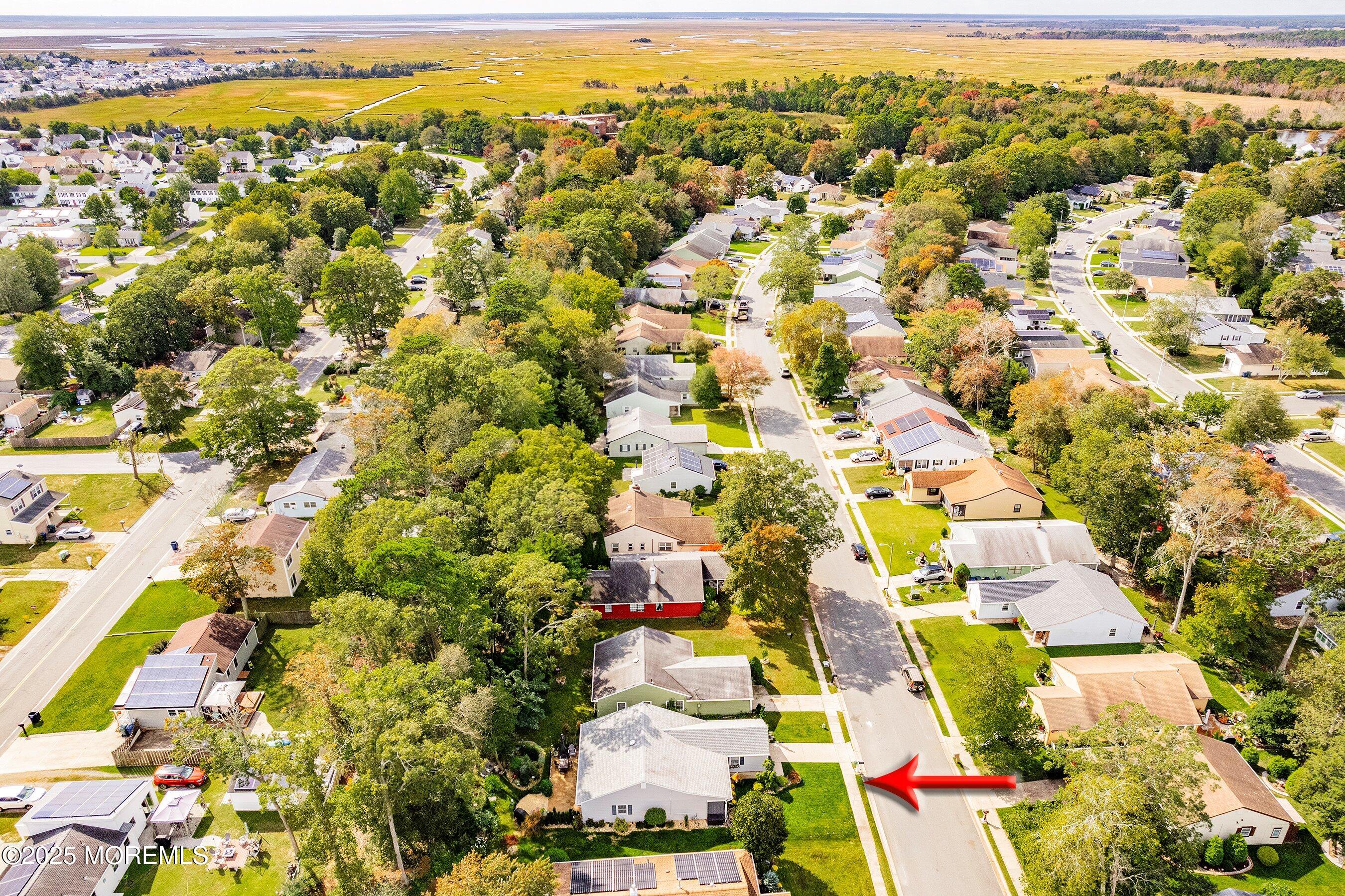 219 Lexington Drive Little Egg Harbor, NJ 08087 - Photo 26 of 30