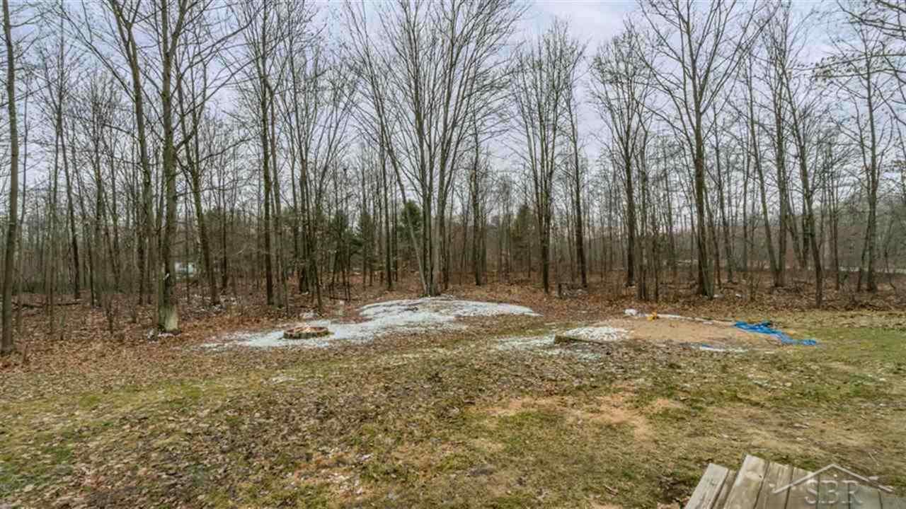 10995 Isabella County Line Road Coleman, MI 48618 - Photo 24 of 25