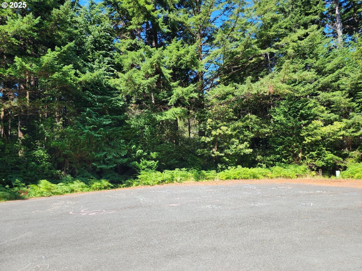 Cedar Hollow Road, Unit 2600 Port Orford, OR 97465 - Photo 7 of 8 Property Entrance