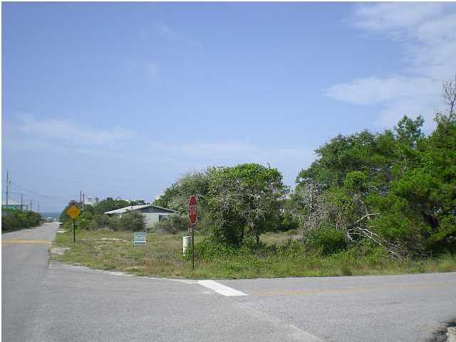 Lot 122 Walton Rose Lane Inlet Beach, FL 32461 - Photo 2 of 3 Gallery Image 2