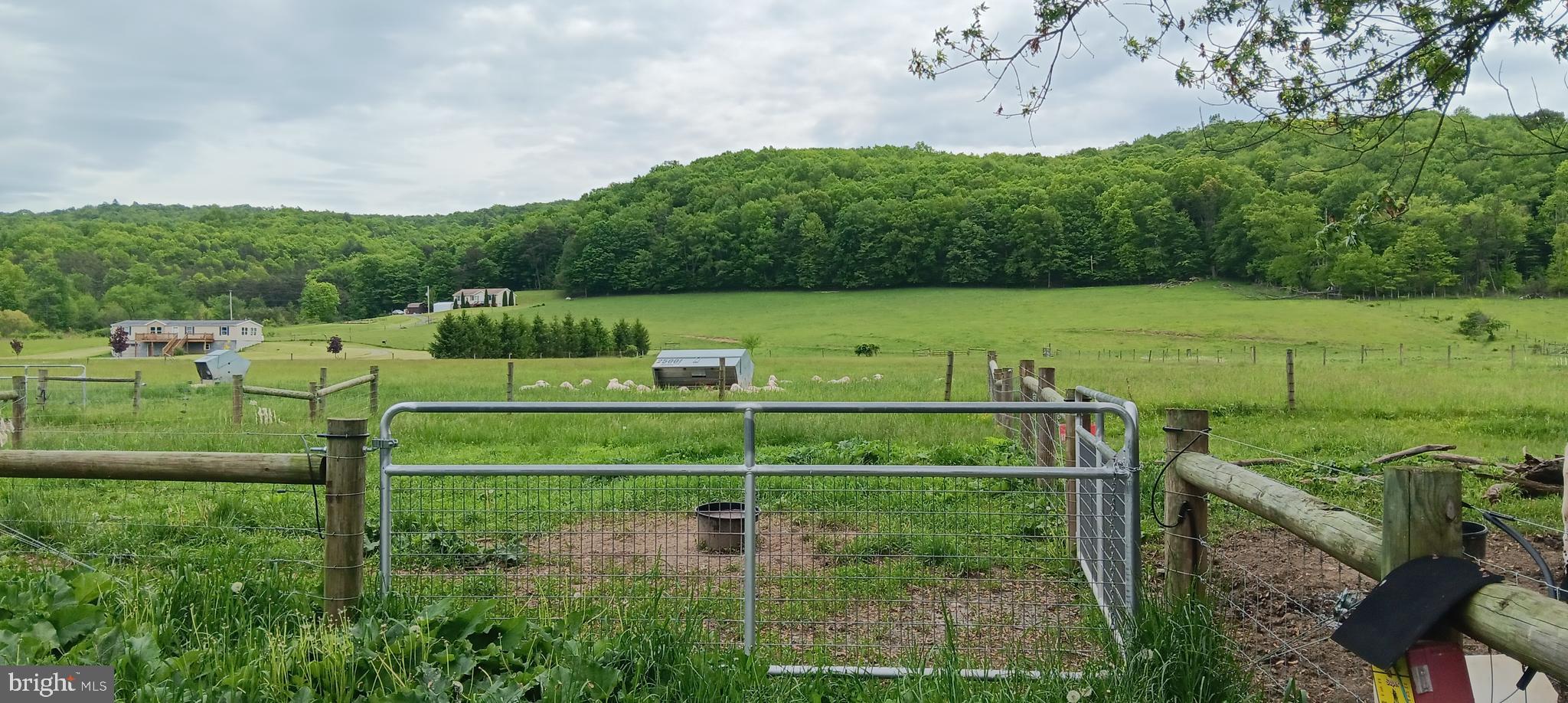 1996 Allegheny Road Manns Choice, PA 15550 - Photo 2 of 26 a view of a park with large trees
