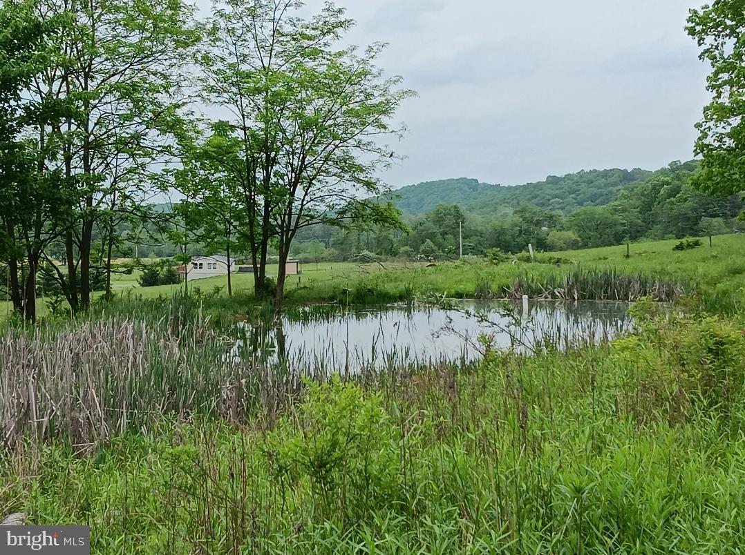 1996 Allegheny Road Manns Choice, PA 15550 - Photo 21 of 26 a view of lake with green space