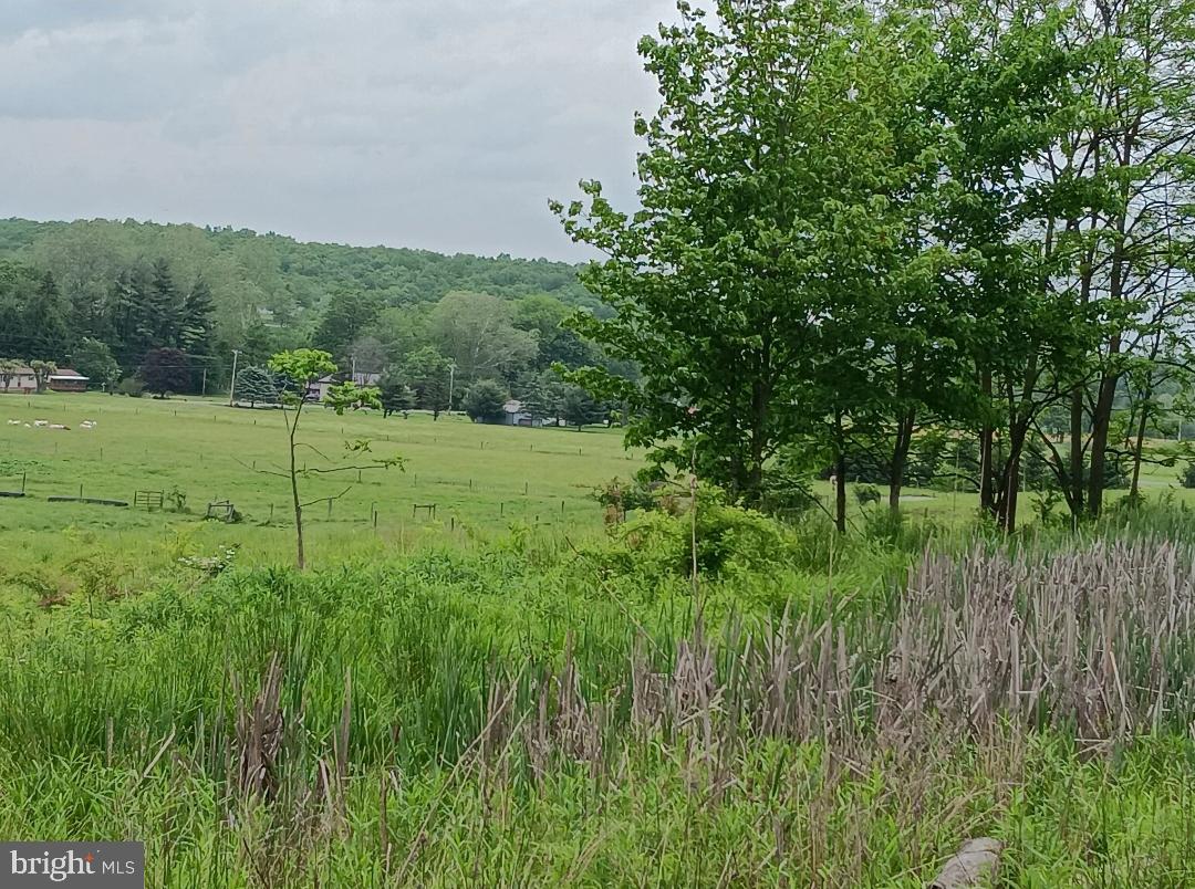 1996 Allegheny Road Manns Choice, PA 15550 - Photo 24 of 26 a view of a lush green space