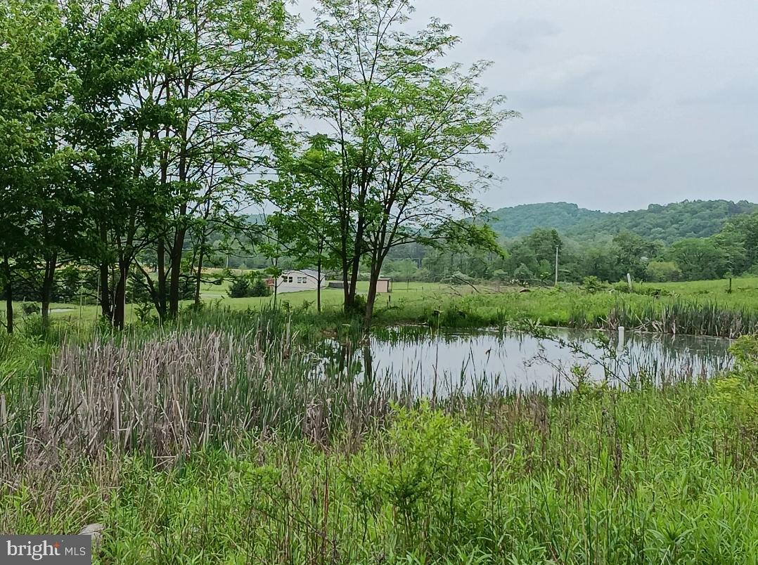 1996 Allegheny Road Manns Choice, PA 15550 - Photo 25 of 26 a view of a lake view with a wooden fence
