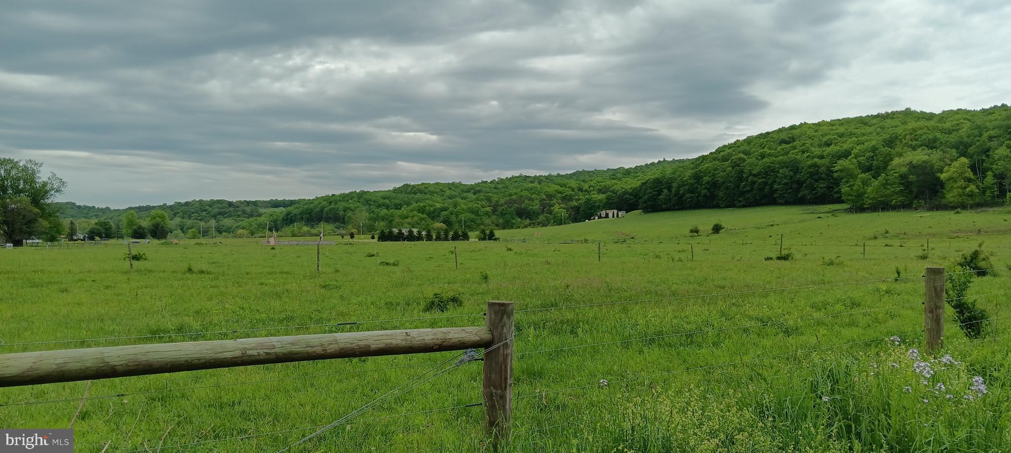 1996 Allegheny Road Manns Choice, PA 15550 - Photo 4 of 26 a view of a green field with an trees
