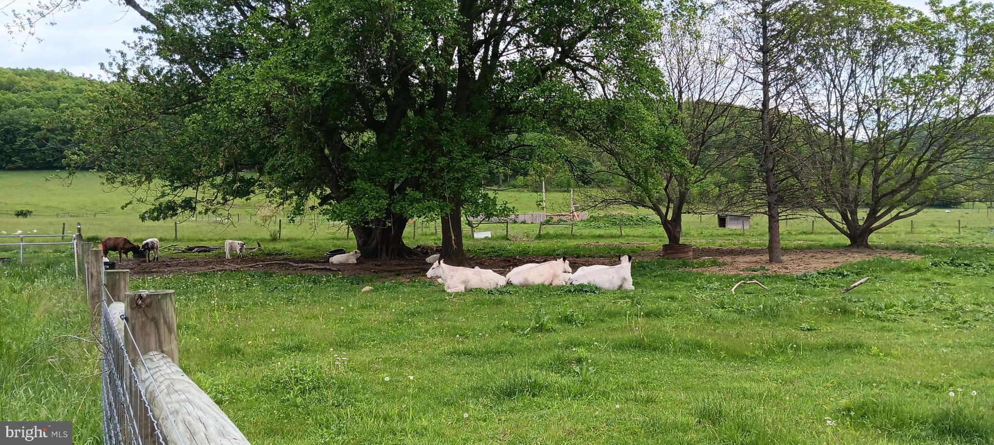 1996 Allegheny Road Manns Choice, PA 15550 - Photo 5 of 26 a view of garden