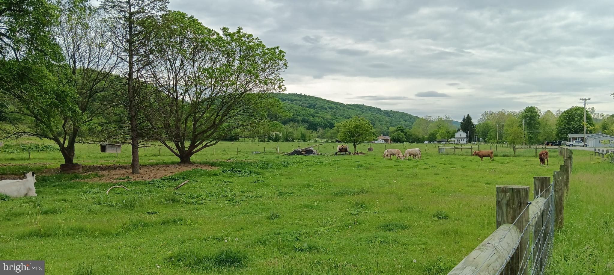 1996 Allegheny Road Manns Choice, PA 15550 - Photo 7 of 26 a view of a field of grass and trees