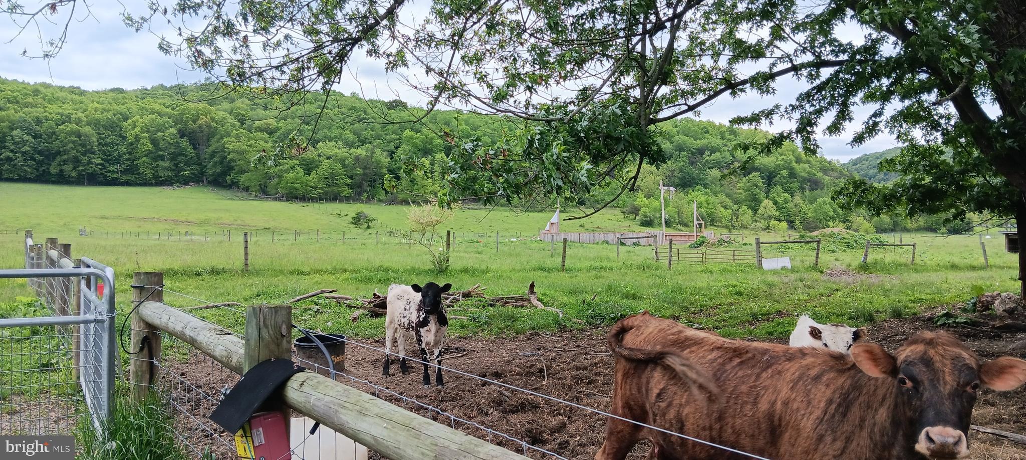 1996 Allegheny Road Manns Choice, PA 15550 - Photo 8 of 26 a view of a backyard with sitting area
