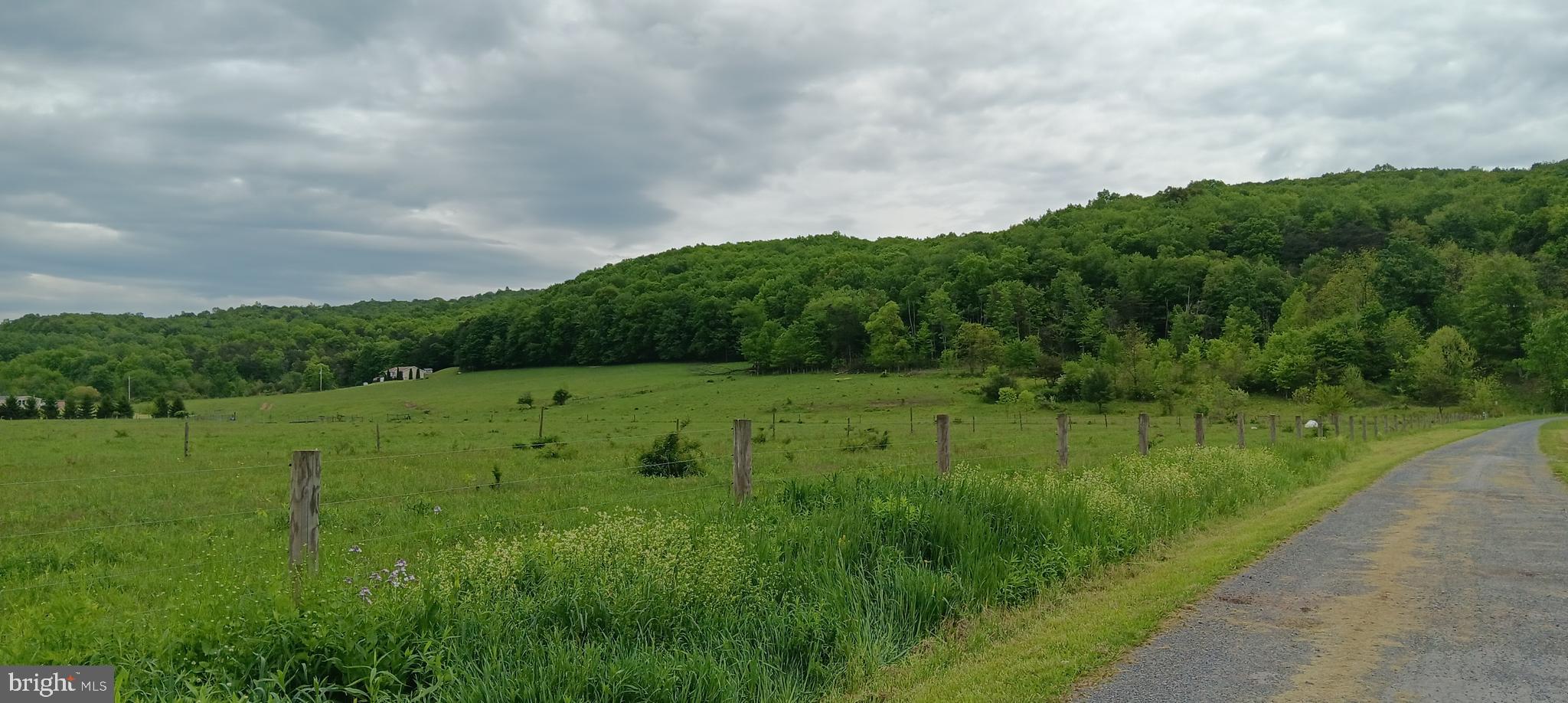 1996 Allegheny Road Manns Choice, PA 15550 - Photo 10 of 26 a view of a green field with trees in the background
