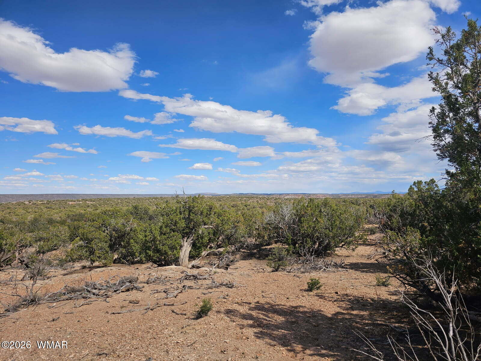 3945 Valley Road Snowflake, AZ 85937 - Photo 6 of 9 a view of a dry yard with wooden fence