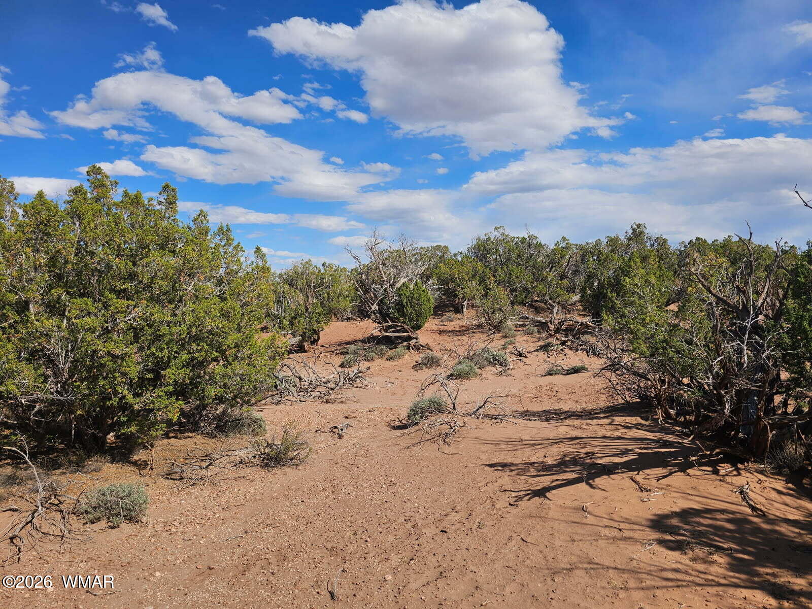3945 Valley Road Snowflake, AZ 85937 - Photo 9 of 9 a view of a dry yard with lots of bushes