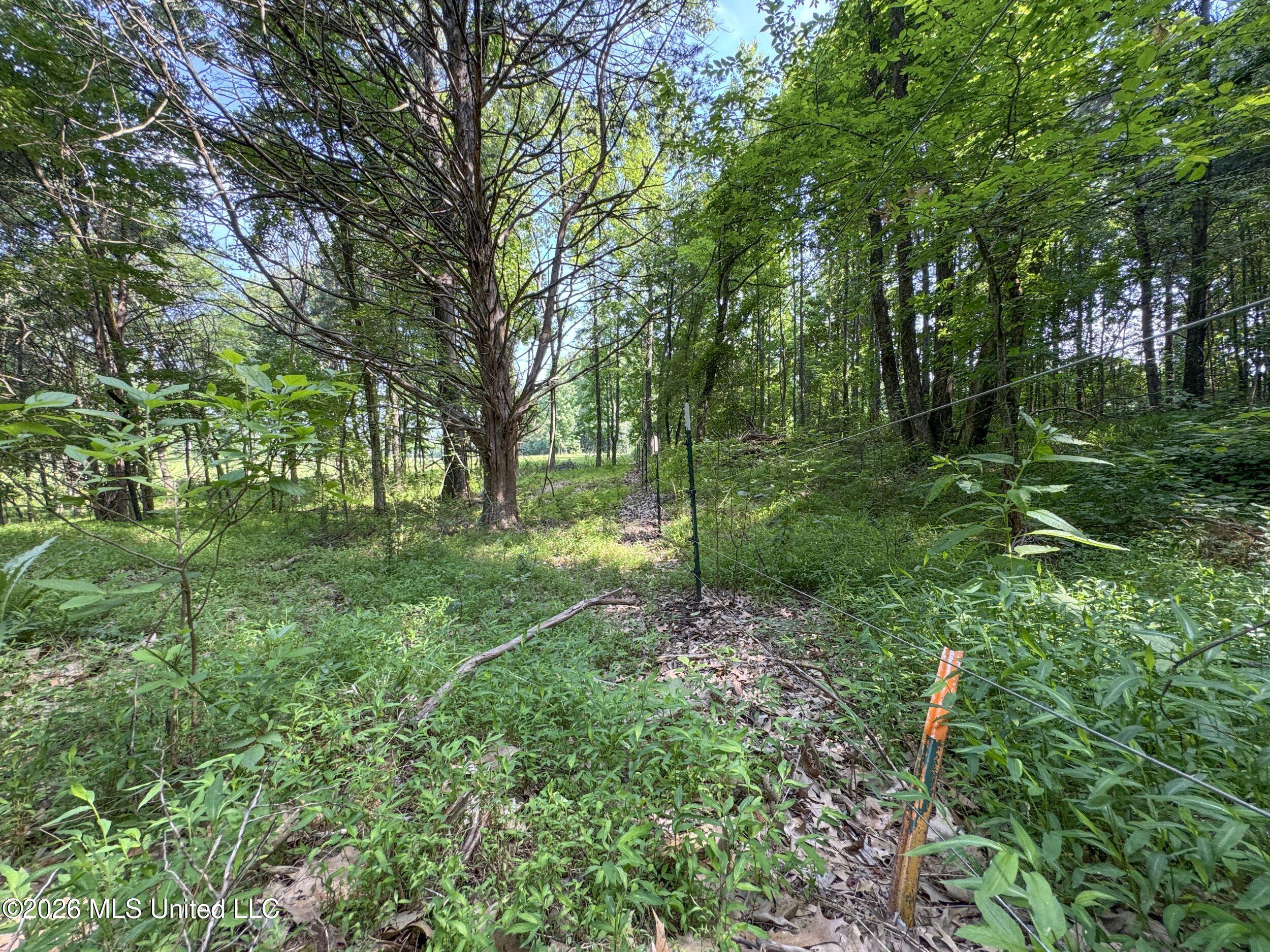 2169 Slocum Road Hernando, MS 38632 - Photo 73 of 94 8slcm32