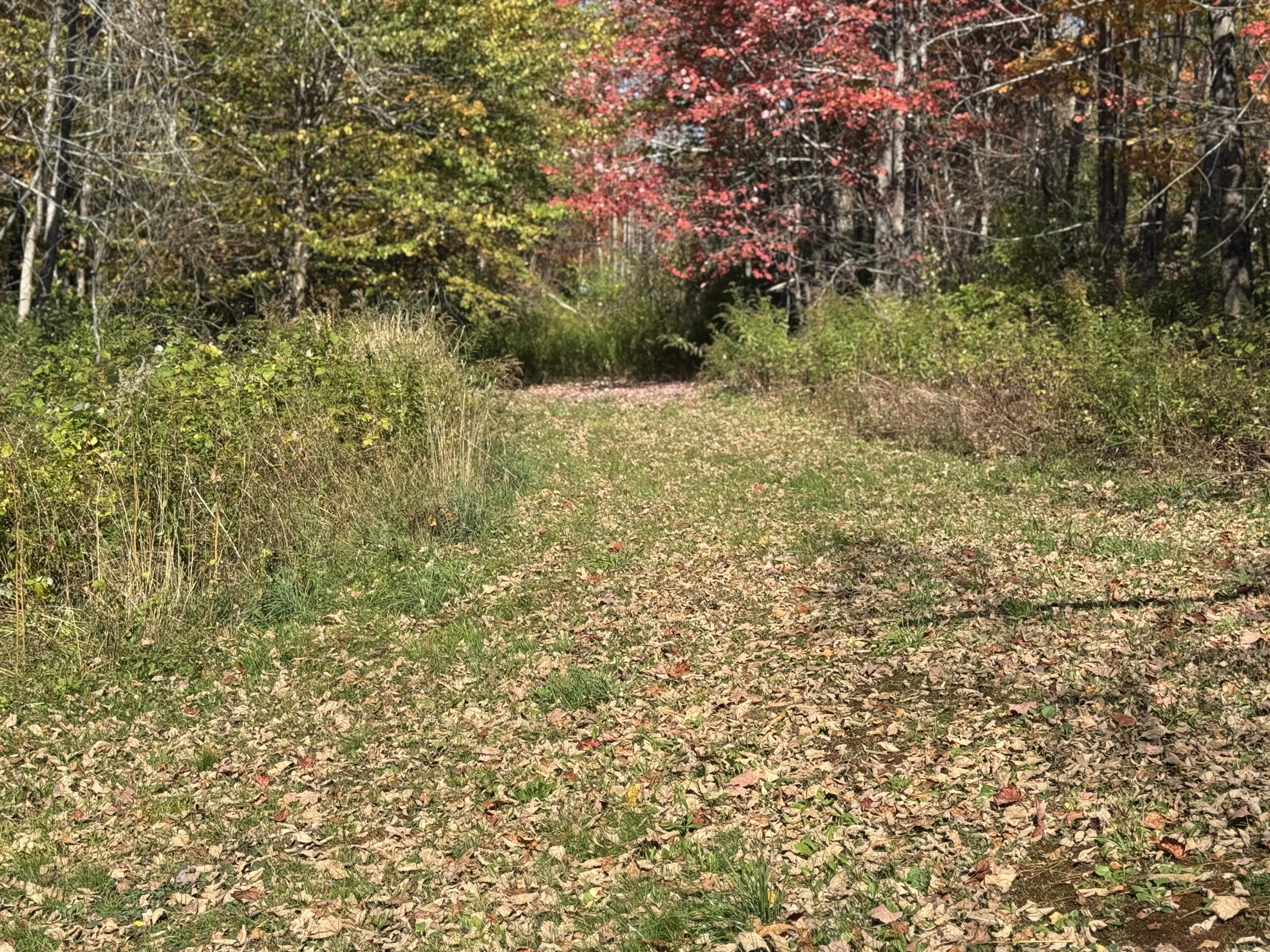 1067 Water Street Ripley, ME 04930 - Photo 12 of 47 IMG_7361