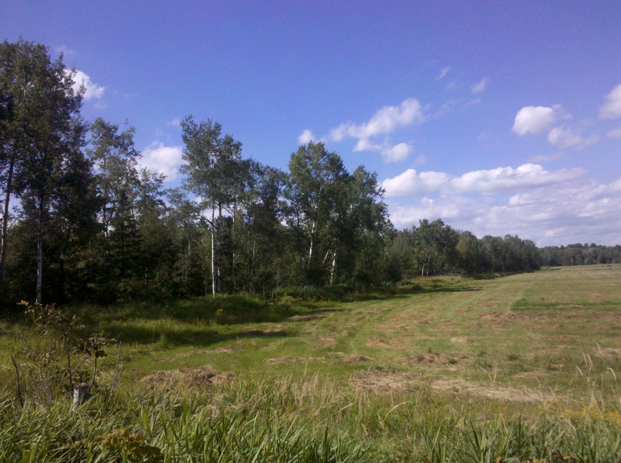 0 10 West 10 Mile Road Dafter, MI 49724 - Photo 5 of 7 Gallery Image 5