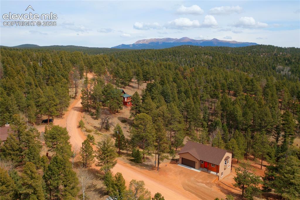 748 Pinewood Road Florissant, CO 80816 - Photo 44 of 46