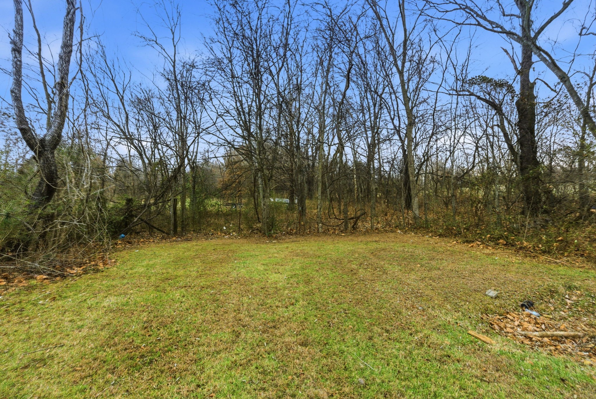 230 Woodruff Road Adams, TN 37010 - Photo 33 of 36 a view of a yard with trees