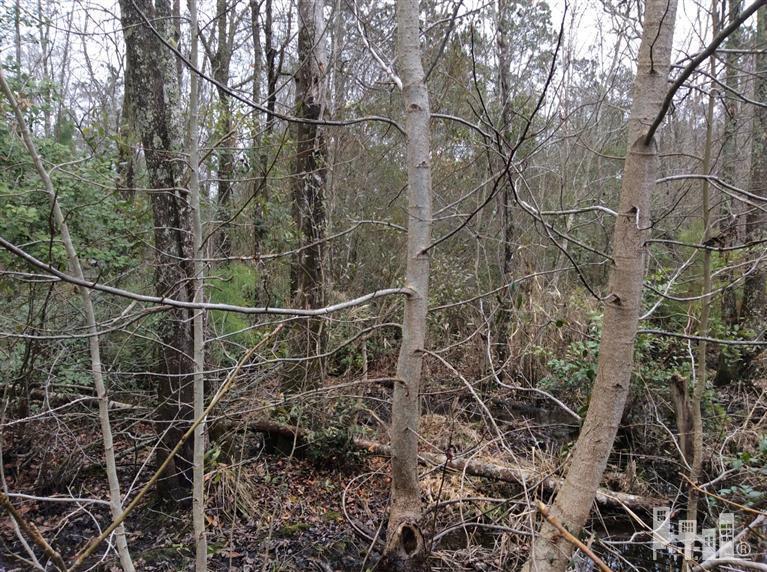 7801 Slocum Trail Atkinson, NC 28421 - Photo 13 of 30 Additional Photo