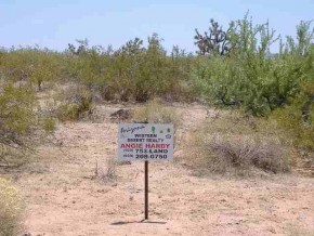 Tortoise Drive Yucca, AZ 86438 - Photo 2 of 6 Additional Photo