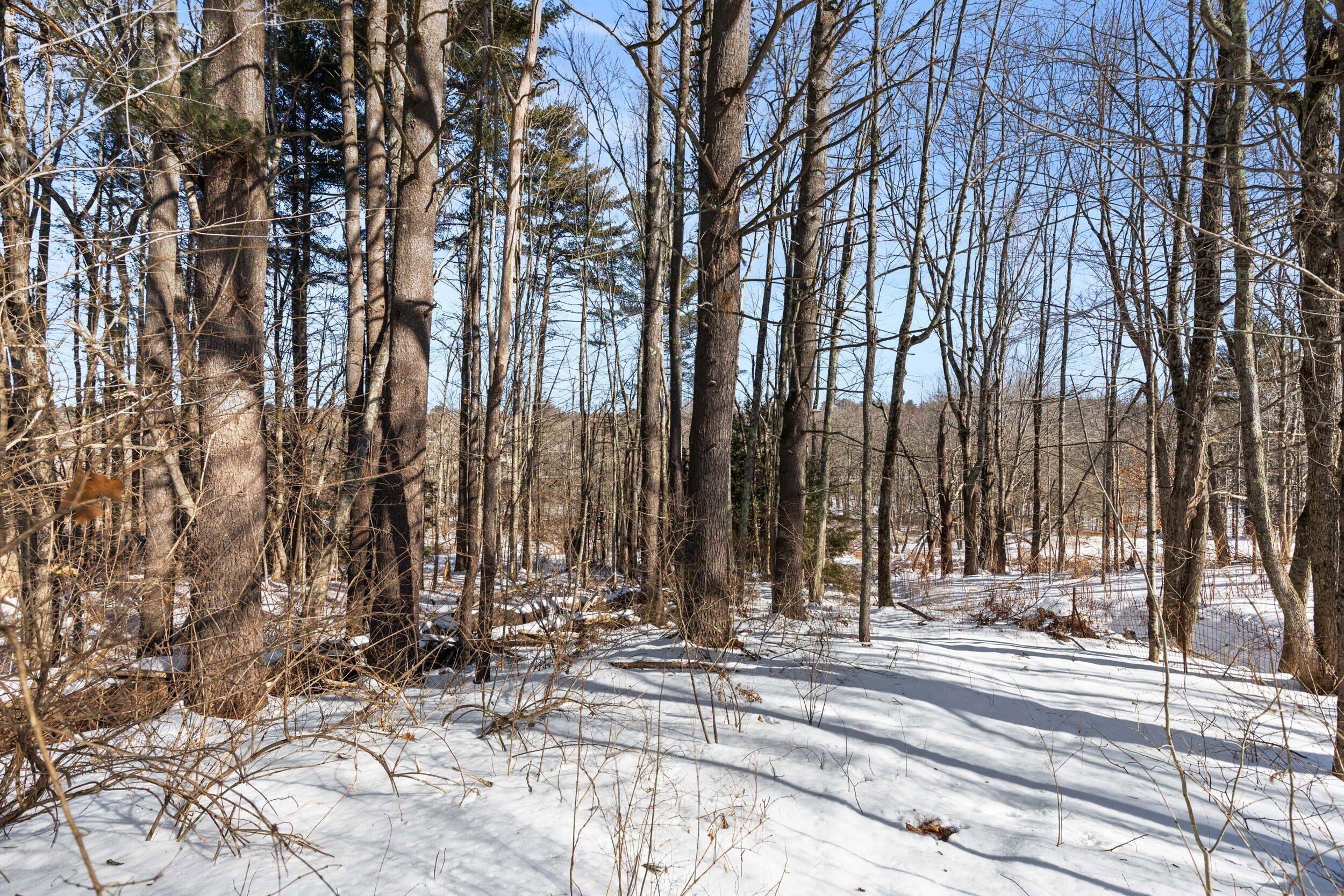973 River Road Hollis Center, ME 04042 - Photo 42 of 44 973 river rd, hollis-043