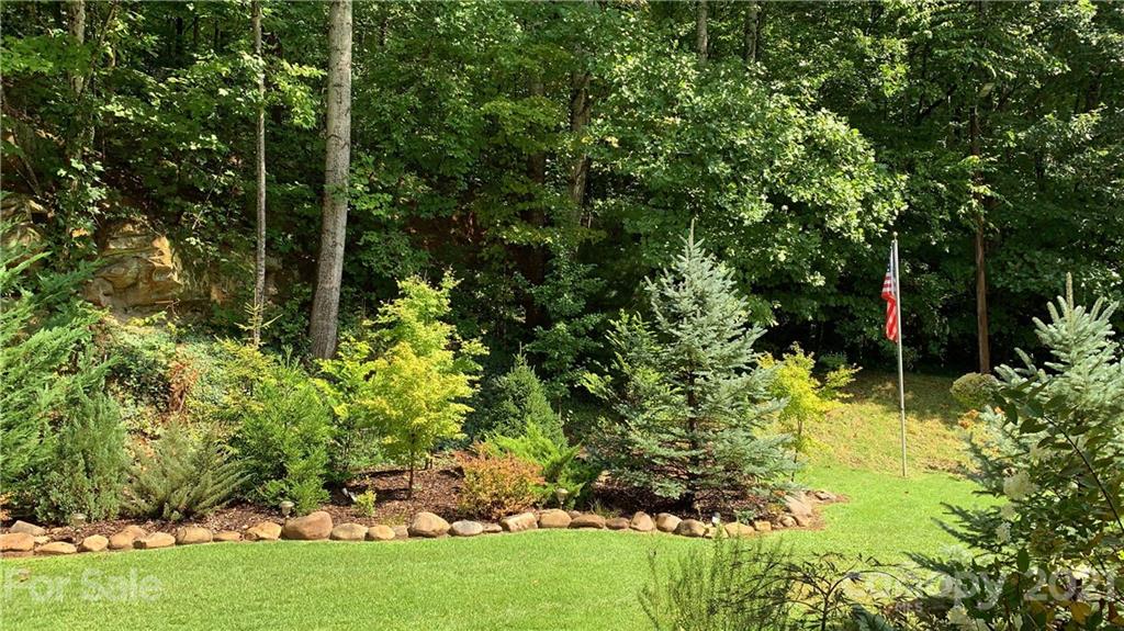 241 Washburn Road Lake Lure, NC 28746 - Photo 42 of 47 Gallery Image 42