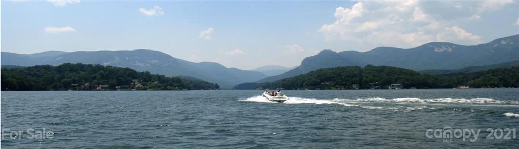 241 Washburn Road Lake Lure, NC 28746 - Photo 46 of 47 Gallery Image 46
