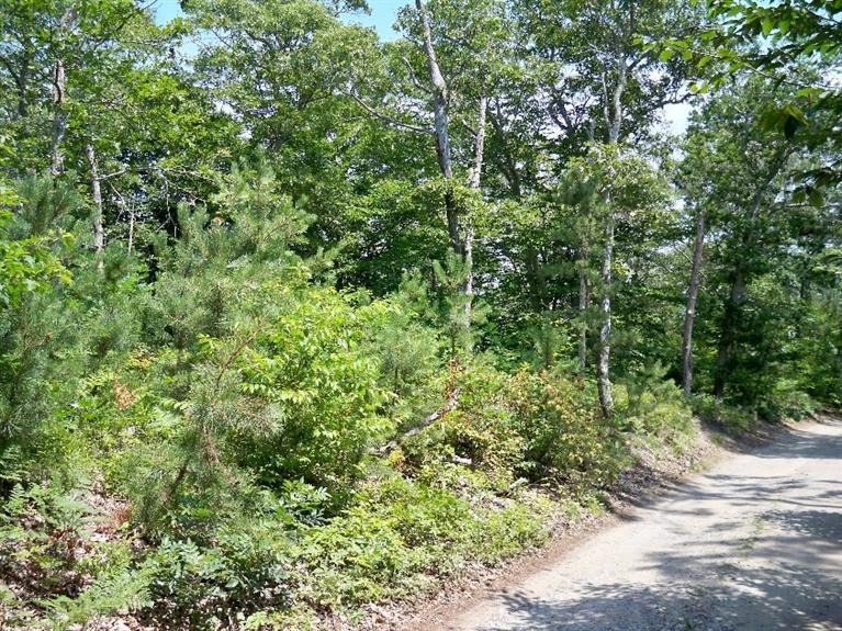 0 Border--23.7 Road Vineyard Haven, MA 02568 - Photo 1 of 5 Primary Photo