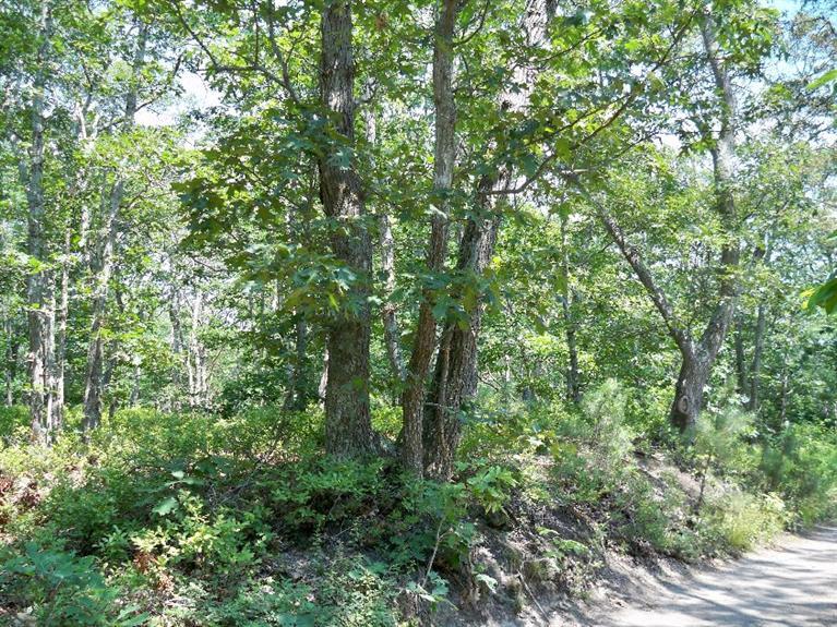 0 Border--23.7 Road Vineyard Haven, MA 02568 - Photo 3 of 5 Additional Photo