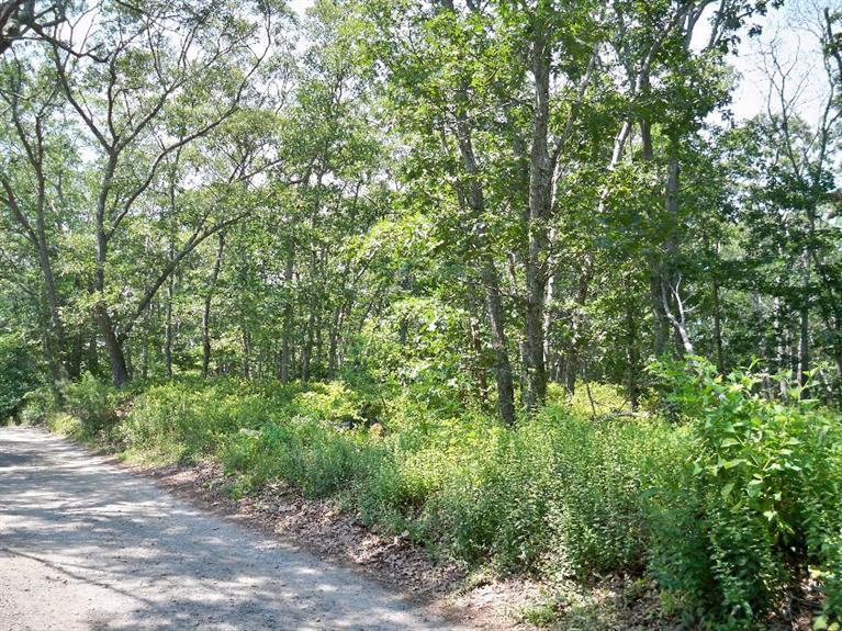 0 Border--23.7 Road Vineyard Haven, MA 02568 - Photo 5 of 5 Additional Photo