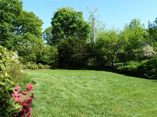 45 Rutledge Road Belmont, MA 02478 - Photo 29 of 29