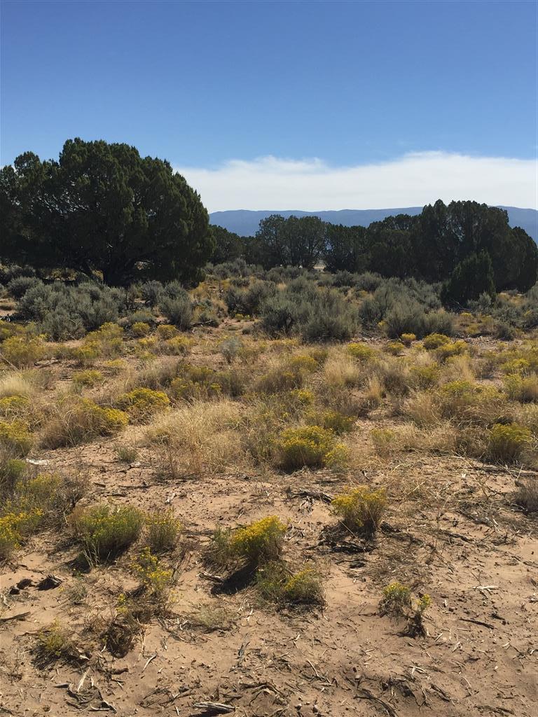 905 East Hide A Way, Unit 20 Cedar City, UT 84721 - Photo 1 of 1 Lot view