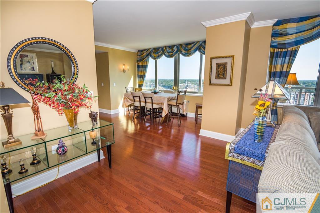 1 Spring Street, Unit 2002& New Brunswick, NJ 08901 - Photo 3 of 25 Gallery Image 3