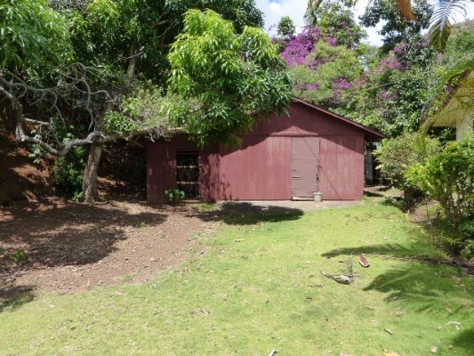 4971 Hekili Road Kapaa, HI 96746 - Photo 11 of 11 a small garden covered with tall trees