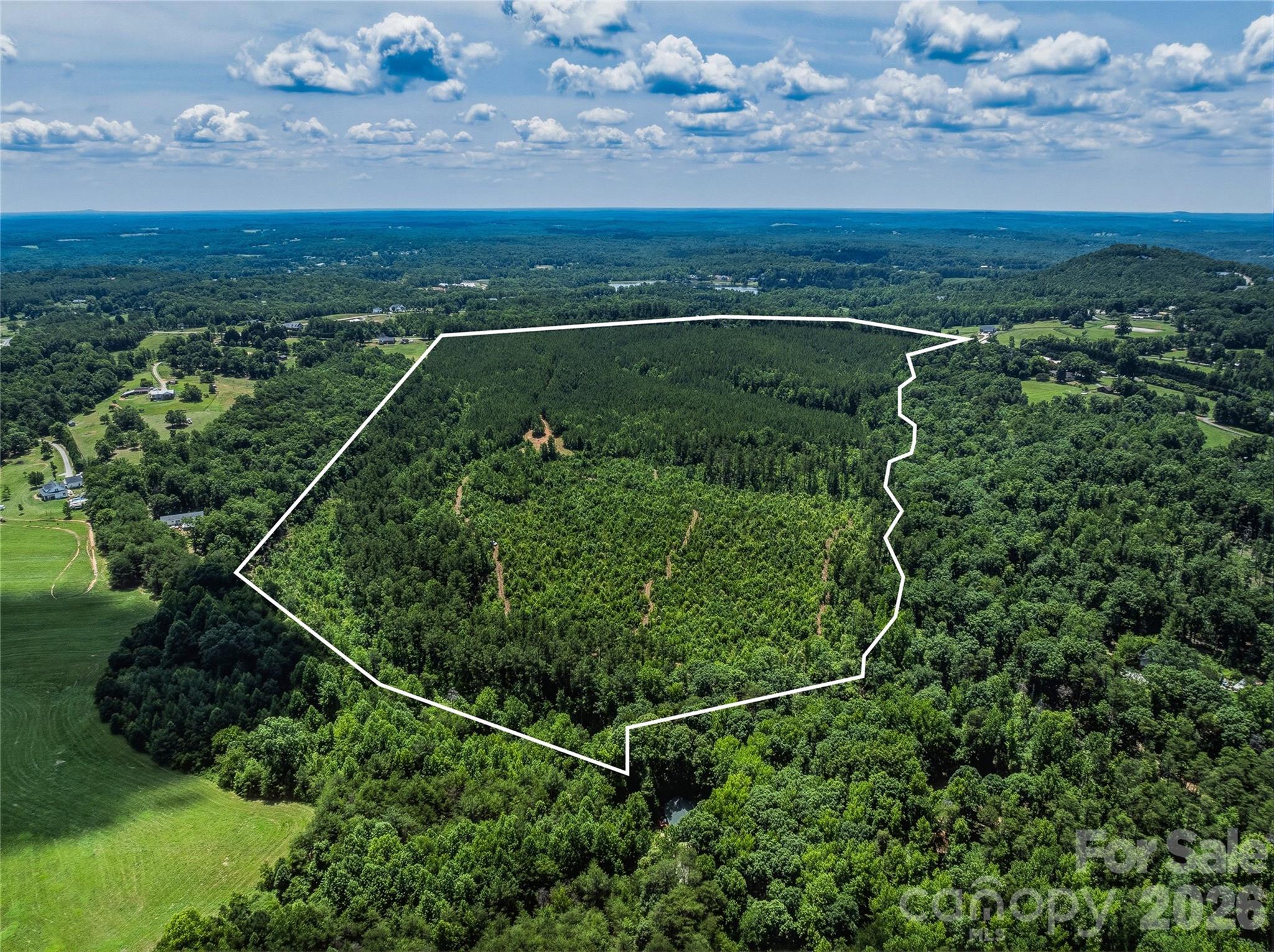 6783 Peniel Road Tryon, NC 28782 - Photo 10 of 36