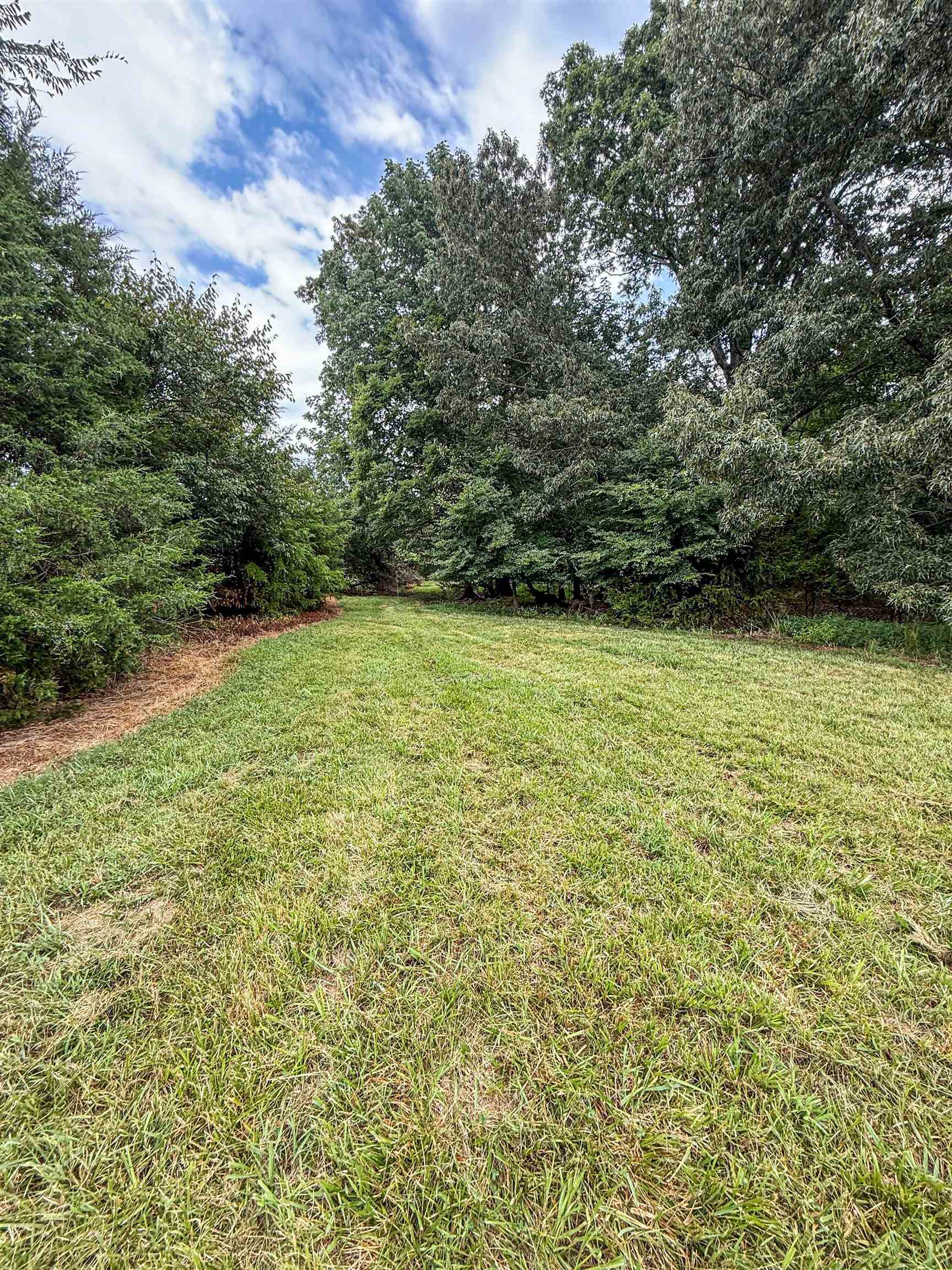 Country Club Road Somerville, TN 38068 - Photo 14 of 22 a view of a yard with an outdoor space