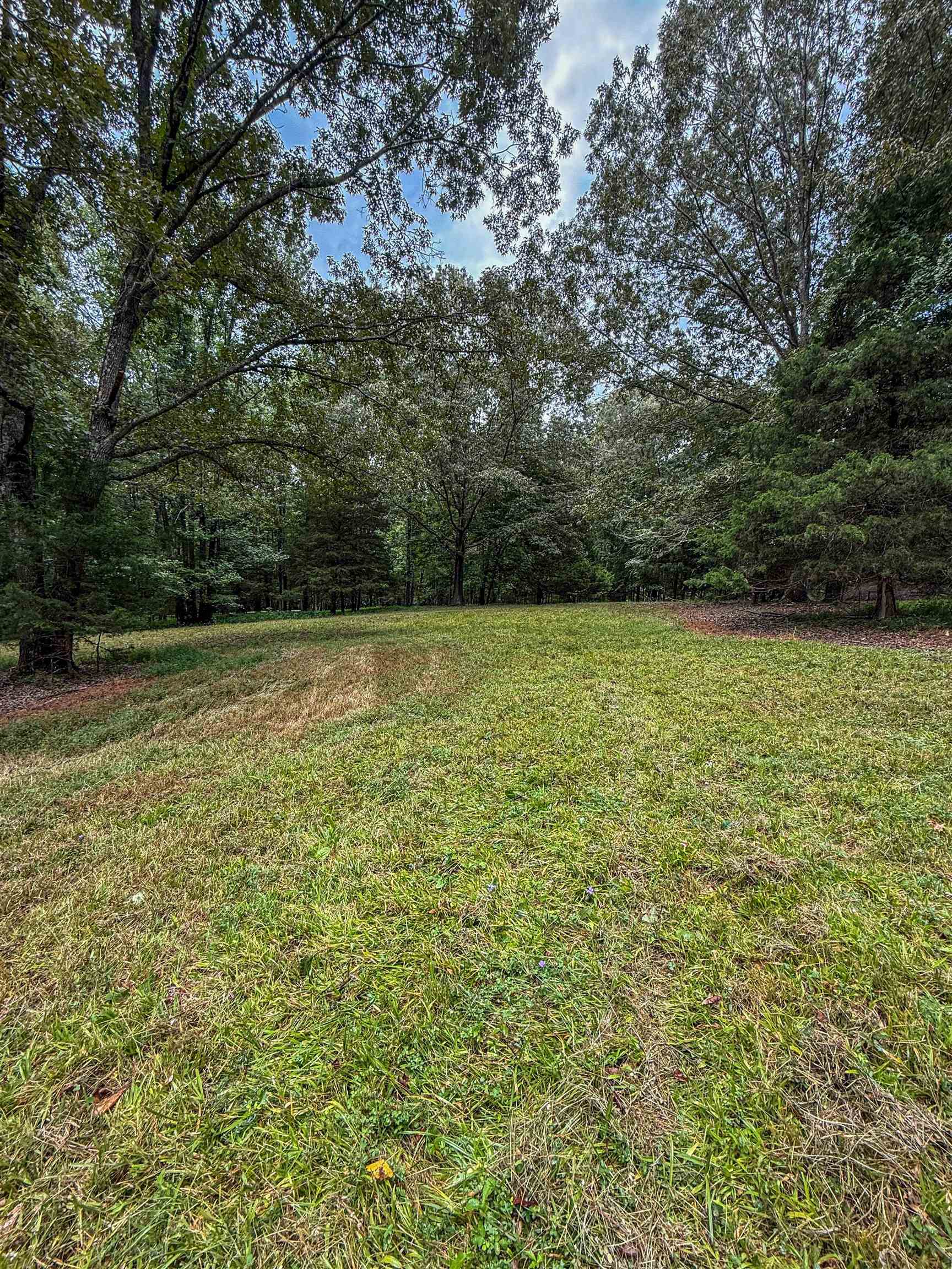 Country Club Road Somerville, TN 38068 - Photo 15 of 22 a view of a field with an outdoor space