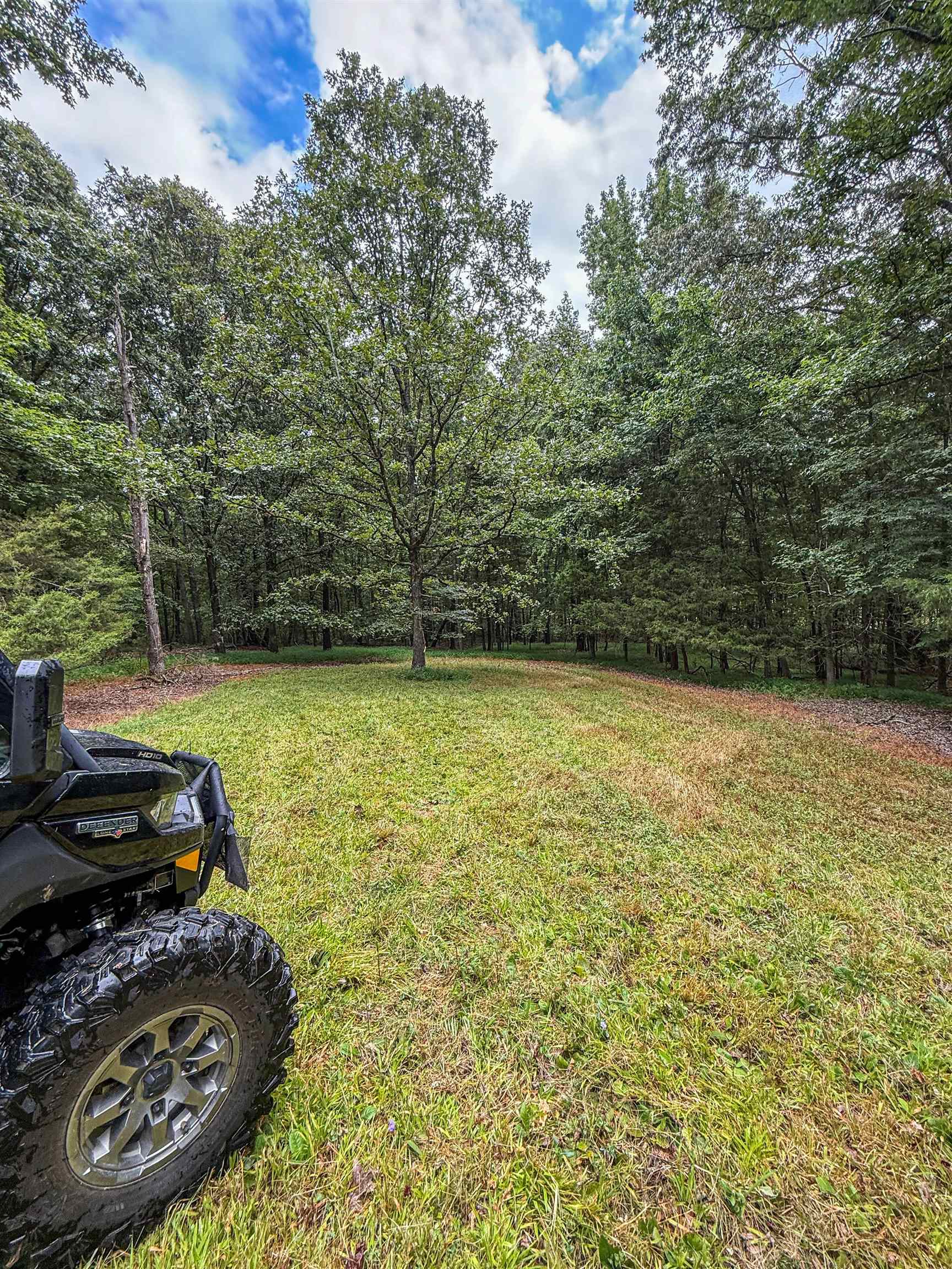 Country Club Road Somerville, TN 38068 - Photo 16 of 22 a backyard of a house with lots of green space