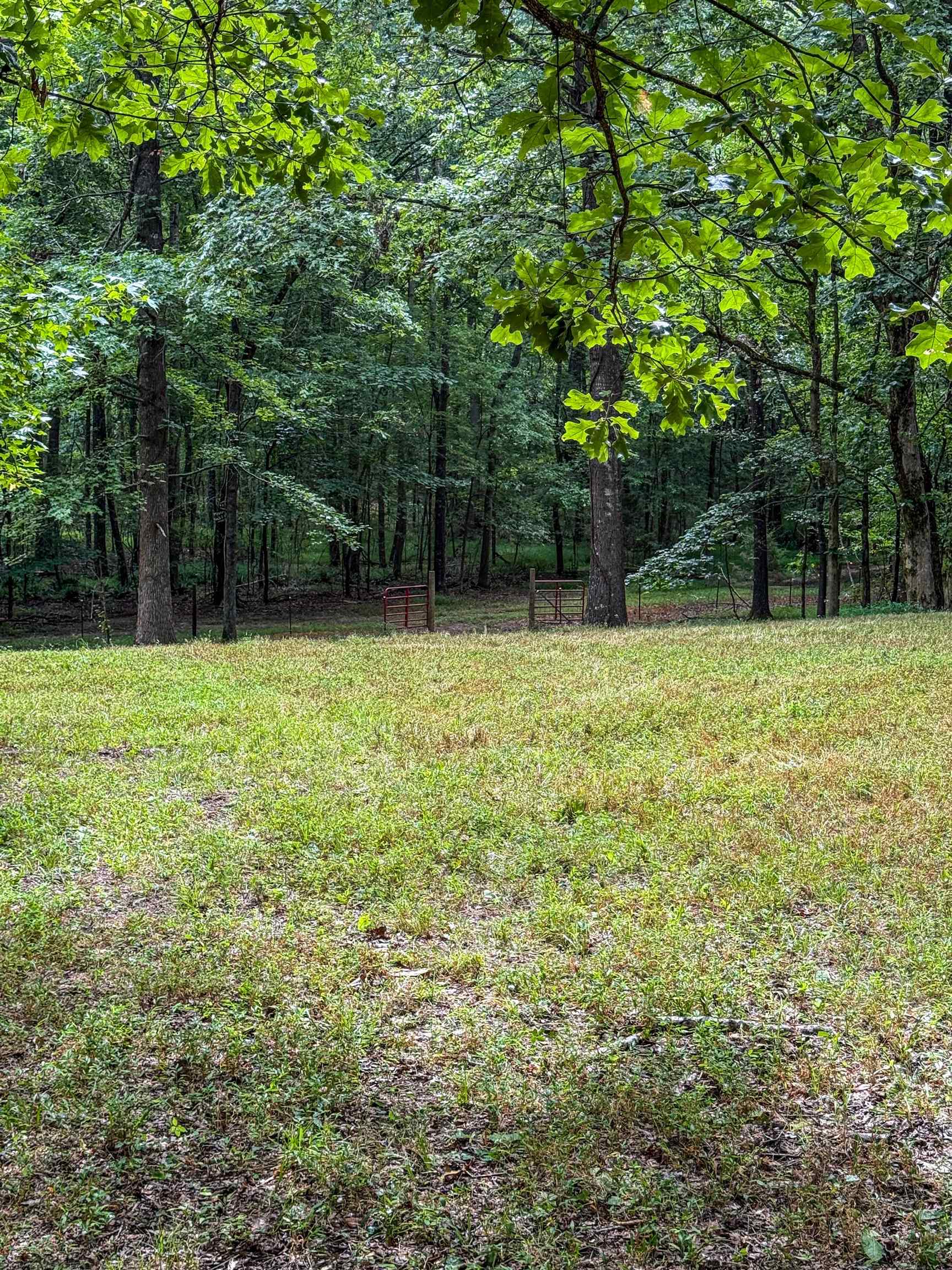 Country Club Road Somerville, TN 38068 - Photo 17 of 22 a house with trees in front of it