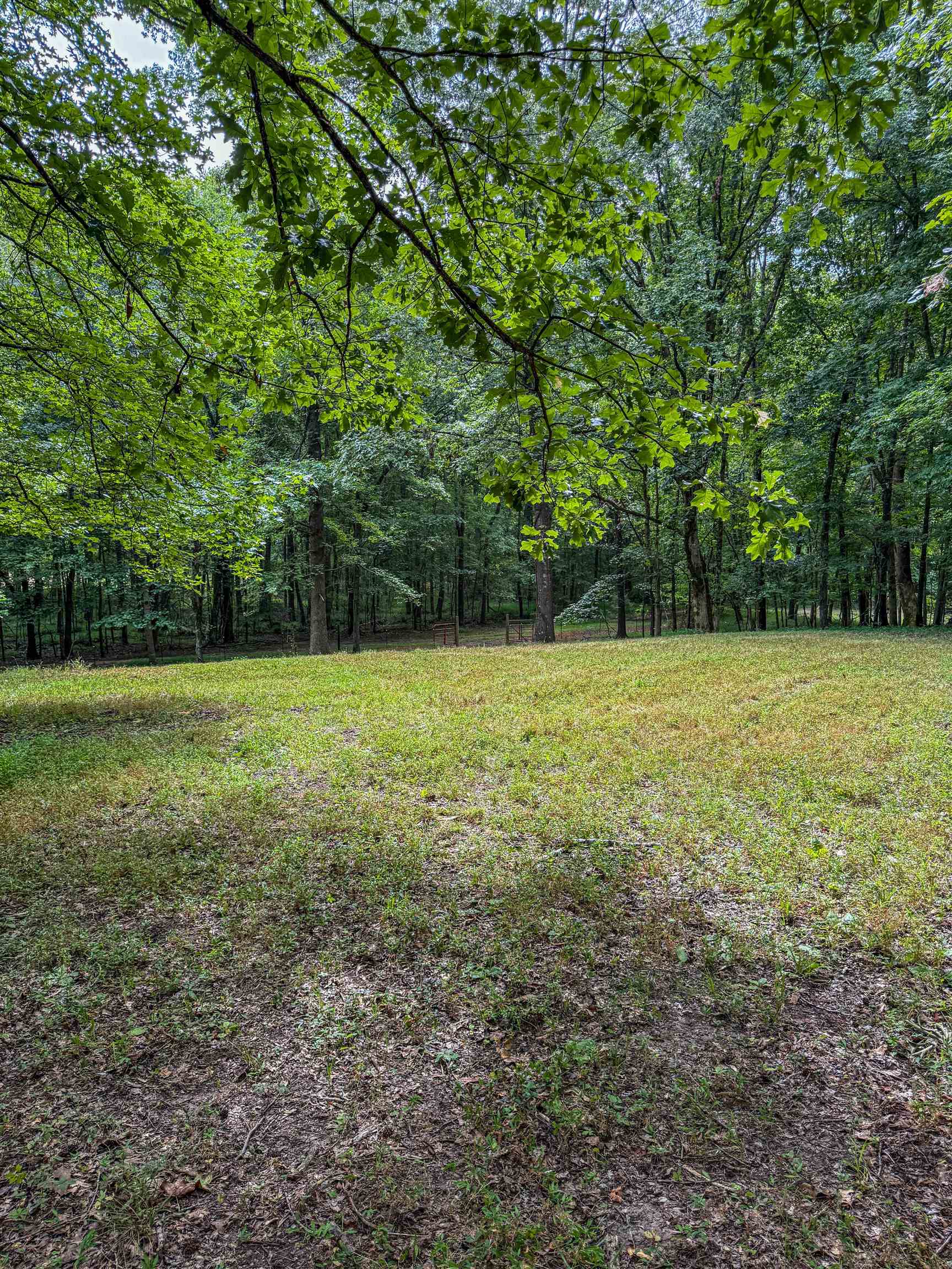 Country Club Road Somerville, TN 38068 - Photo 18 of 22 a view of a field with trees in the background