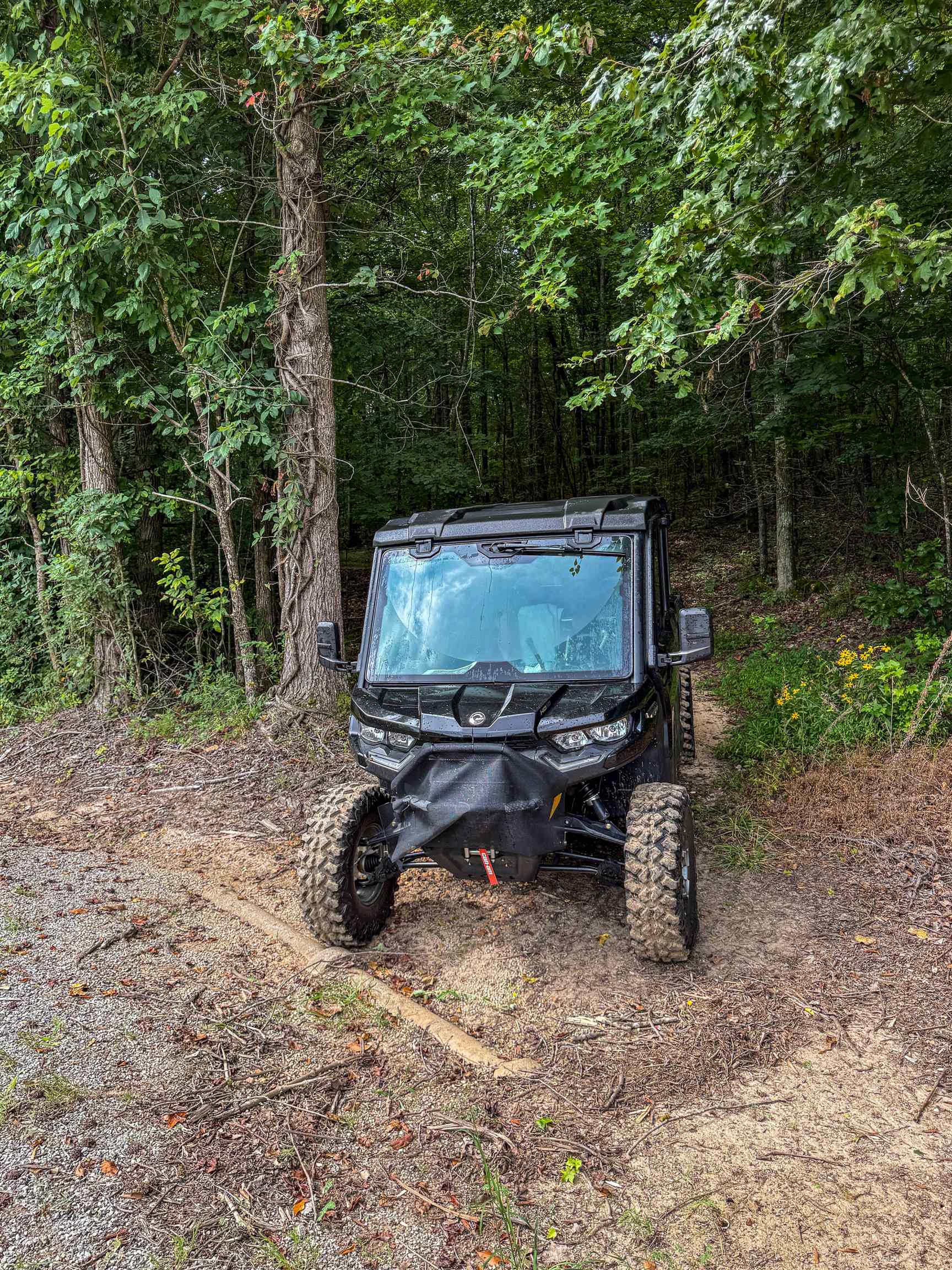 Country Club Road Somerville, TN 38068 - Photo 19 of 22 a backyard of a house with table and chairs